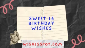 Read more about the article 200+Sweet 16 Birthday Wishes